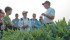The angular beauty of spinach leaves is on rampant display as Shane Woods, right, discusses crops in the Wildrose Heritage Seed Company garden with visitors on a Lethbridge tour Aug. 20. | Barb Glen photo