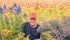 Pollinator habitat and conventional corn production go together at David Ainslie’s farm in Essex County, Ont. | Essex Region Conservation Authority photo
