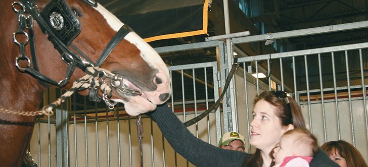 Brittany Ellis shows her three-month-old baby Amelia what a Clydesdale looks like up close. Her family is from Ontario and was showing horses at the London event. |  Barbara Duckworth photo
