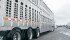 Each year, Animals arriving dead or those that must be euthanized at the plant cost the North American industry $131 million. | File photo