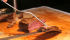 Meat industry braces for WHO cancer risk verdict