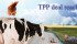 Canada says Pacific trade deal offers limited access to dairy market