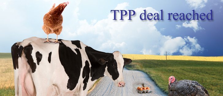 Canada says Pacific trade deal offers limited access to dairy market