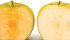Activists have pushed the notion that genetic modification contaminates organic crops, shelving products like Arctic apples that don’t brown as quickly. | File photo