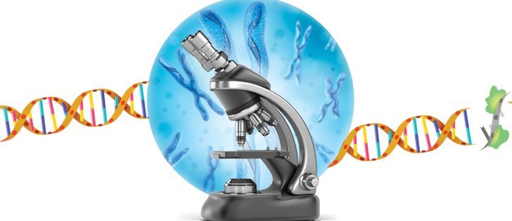 CRISPR: cutting edge tech for plant breeders