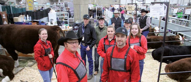 The Chittick family of Mayerthorpe, Alta., raises Angus, Simmental and Hereford. Front Grant and son Raymond Chittick, second row, daughter Crystal and friends Mikaela Klemp and Savannah Hillmer helping out.  |  Mary MacArthur photo