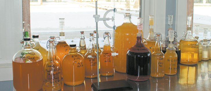 Crossmount Cider Co. works with the University of Saskatchewan’s apple breeding program, testing new varieties for cider production.  |  Ashley Robinson photo