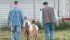 Young farmers can ease the transition to farm ownership by being properly prepared. | File photo