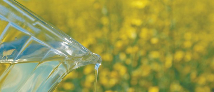 Improved margins could see crushers buy more canola from farmers.  |  File photo