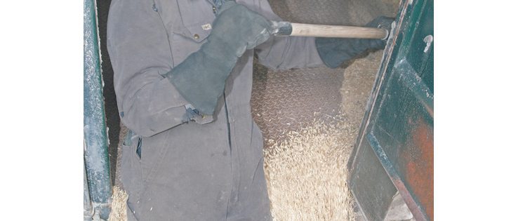 Analyst expects oat prices to rise if demand remains steady so farmers should hold off on deliveries. |  File photo