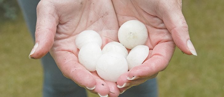If you cut open a large hailstone, you may see several rings of ice, since each time the hail is swept back up into the cloud, a new layer of ice forms around the ball. The stones aren’t always round — sometimes they are oblong or even spiked if several small stones fuse together inside the cloud.  |  stock photo