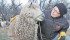 Gerry Oliver is particularly fond of Margaret, a Wensleydale sheep that’s part of her flock near Carberry, Man. Oliver has several unique and rare breeds of sheep, including Romneys and Cotswolds.
| Robert Arnason photo