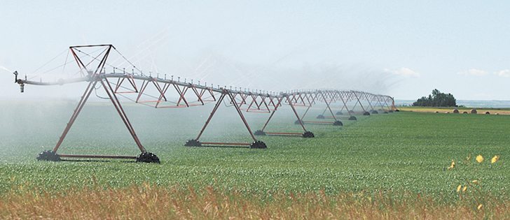 Production on irrigated land was seven times higher than on dry land in the 10-year period looked at by the study.  |  File photo
