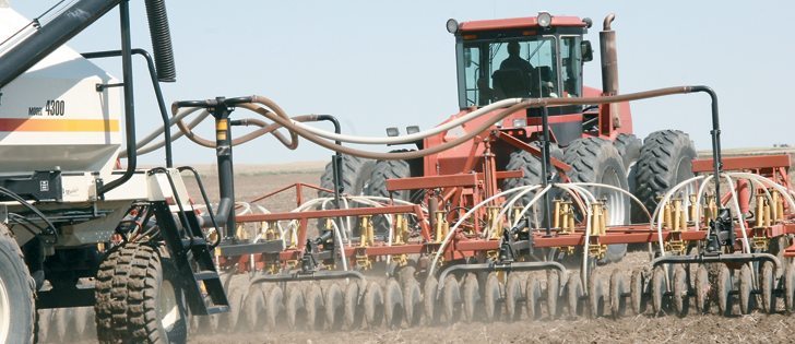 Producers must adjust seeding rates to soil conditions to achieve five canola plants per sq. foot.  |  File photo