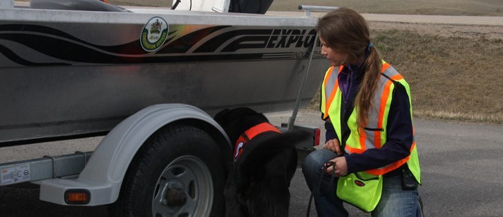 Inspectors such as Ngaio Richards and dog Wicket found zebra mussels on 11 boats this summer as part of Alberta’s routine border inspections.  |  File photo