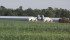The weak loonie, combined with the repeal of U.S. country-of-origin labelling and relaxed manure regulations in Manitoba, have produced the right conditions for new barn investment. | File photo