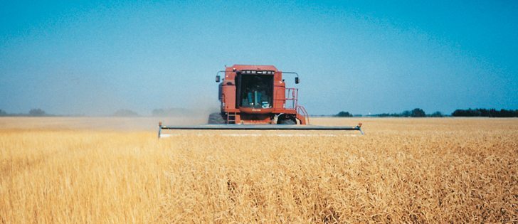 Uncertainty about the size of the canola crop makes it hard to estimate stocks and forecast late season prices.  |  File photo