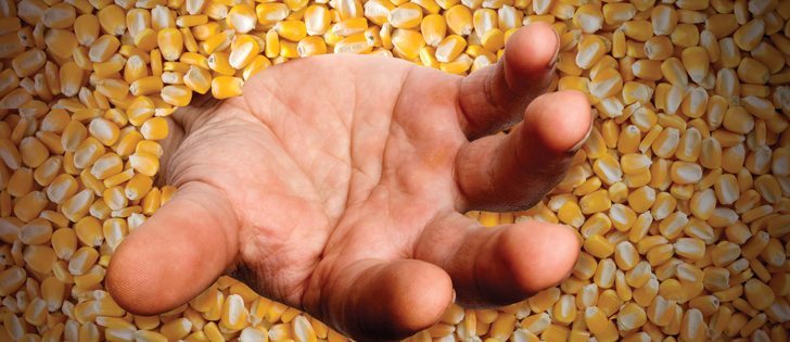Buried under several feet of corn, an Iowa farmer describes his harrowing story of rescue and recovery. | Michelle Houlden photo illustration