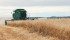 Canadian growers selling oats to Grain Millers Inc. will be required to sign an affidavit prohibiting pre-harvest glyphosate. | File photo