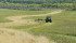 A new program from Ducks Unlimited and Crop Production Services offers producers in Saskatchewan and Alberta a $100 rebate on every 50 pound bag of forage seed. | File photo