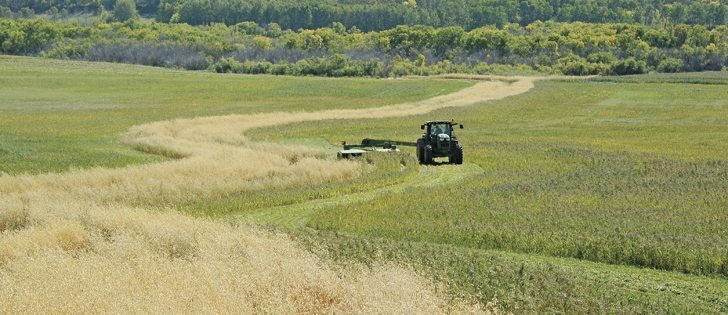 A new program from Ducks Unlimited and Crop Production Services offers producers in Saskatchewan and Alberta a $100 rebate on every 50 pound bag of forage seed.  |  File photo