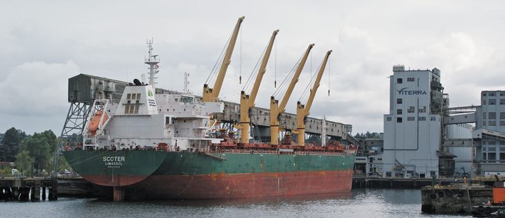Producers are demanding port price information to compare with elevator prices but a market analyst says those numbers could cause confusion about buyers’ margins.  |  File photo