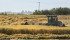 Richardson, which operates oat milling plants in Portage la Prairie, Man., Martensville, Sask., and Barrhead, Alta., hasn’t witnessed problems with oats or heard complaints from its food industry
clients.
| File photo