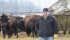 Nathan Scott is pleased that Beldon Bison Ranch at Nipawin, Sask.,is hosting the Canadian Bull Bison Draft this year. | Karen Briere photo