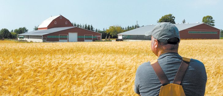 As baby boomers reach retirement age, they will have to navigate their way through the sometimes confusing maze of succession planning.  |  File photo 