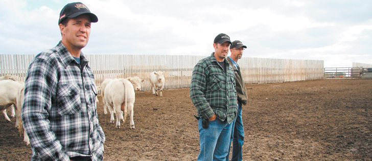 George Lohues, left, and his brothers, Mark and John, installed rolled compacted concrete flooring in six of their feedlot’s pens last summer.  |  File photo
