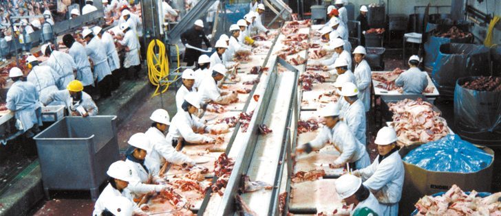 BioRefinex plans to take waste from packing plants, called specified risk materials, and process it into fertilizer and biogas.  |  File photo