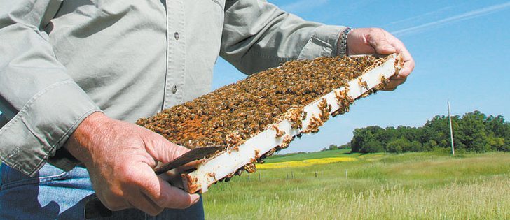 A Peavey Mart spokesman said beekeeping supplies is a growing category for the hardware store. | File photo