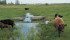 The Alberta government is taking steps to control water drainage on the province’s farmland. | File photo