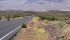 Wild flowers, including the desert five spot, line the road thanks to heavy rains last fall. | Arlene & Robin Karpan photo