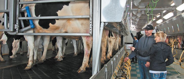 Don and Yvonne Feitsma supply more than 20,000 litres of milk to Saputo Inc. daily and plan to expand their herd this summer.  |  Sean Pratt photo