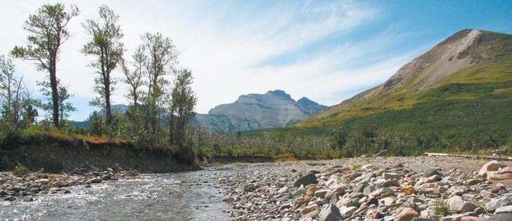 Alberta is planning to reduce damage along the Oldman River watershed by restricting access and recreational use in critical areas and requiring co-operation among users to reduce disturbance. | File photo