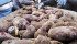 Organic potatoes are harder to manage, but good agronomy can yield a solid crop. | File photo