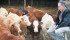 John McKinnon has worked in livestock production for 35 years. His feedlot nutrition research and focus on feed use have helped give producers more bang for their buck. | William DeKay photo
