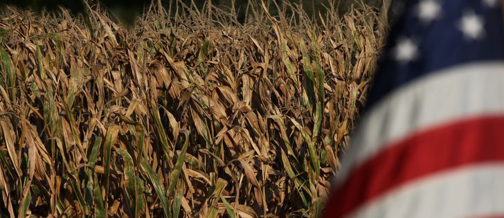 A Purdue study, soon to be published in AgBioForum states that growing GM corn, soybeans and cotton reduces the amount of land needed to grow crops in the U.S., thus reducing greenhouse gas emissions from agricultural land. |File photo