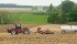Perceived shortages of certified seed may have been a factor in the number of prairie farmers who were caught selling protected seed varieties on the black market last year. | File photo