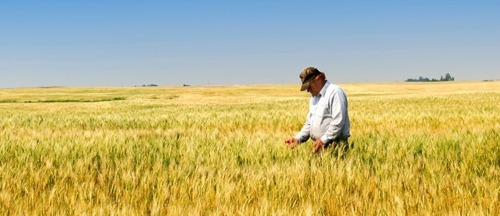 Understanding the complex workings of soil and plant requires time, effort and an understanding that conditions are constantly changing. | File photo