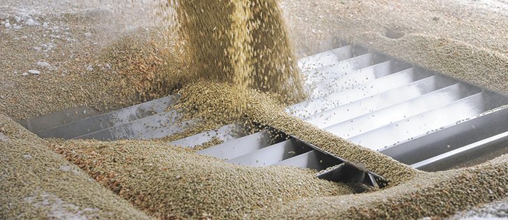 Analyst thinks new crop pea and lentil prices will peak before the end of the year and then drop in 2017.  |   File photo