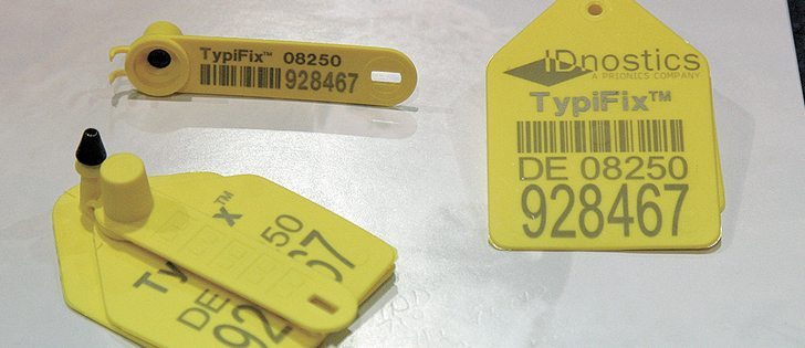 A BVD testing system involves eartags that can be used when collecting biopsies for  bovine viral diarrhea testing. The ear is notched when the tag goes in and the sample stays in the smaller tag. Its number and barcode is correlated to the larger tag that remains in the animal’s ear.  |  File photo