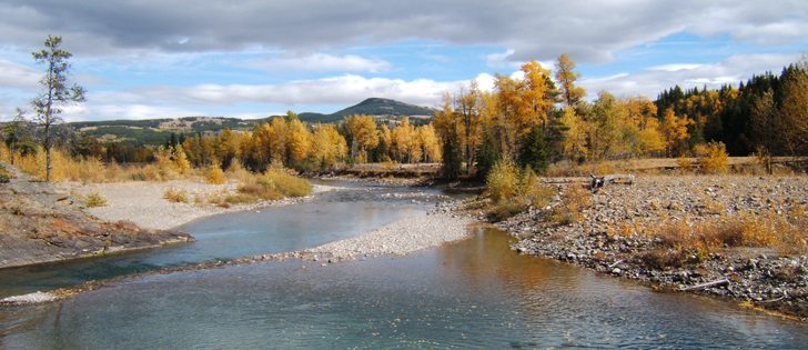 Alberta is capable of producing more food but outside pressures could inhibit that ability. One key pressure point may be water availability. | File photo
