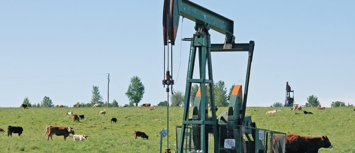 Alberta’s Surface Rights Board is a recourse for landowners in cases where an energy company becomes insolvent or refuses to pay lease fees.  |  File photo