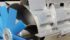 The Axial Air Integrated Rotor employs the 10-blade blue fan to force air into the welded three-blade centrifugal fan, thus pumping a steady volume of air into the three hollow channels welded to the outer surface of the rotor. | Sunnybrook Welding photo