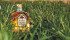 All kinds of whiskey have grown popular recently, including Crown Royal’s Northern Harvest rye, which won an international award. | Michael Raine photo