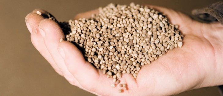 Scientists are starting to pay attention to how phosphate fertilizer works.  |  File photo