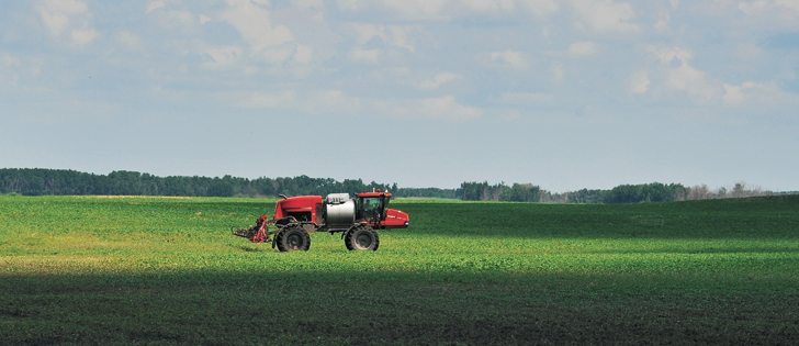 If weeds are up before the crop and are not controlled, they absorb water and nutrients that were would have been available for the intended plants.  |  File photo