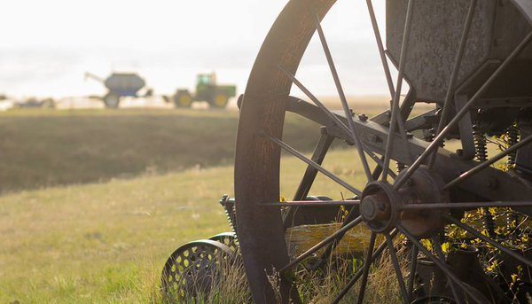 Southern Saskatchewan is set to receive some rain, according to the U.S. National Weather Service May 10 to May 12 precipitation forecast maps. | photo submitted to The Western Producer #plant16 photo contest by Natasha Martens.